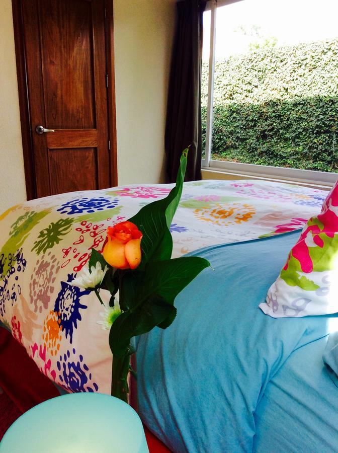 Casa Roa (Adults Only) Apartment Мексико Сити Екстериор снимка